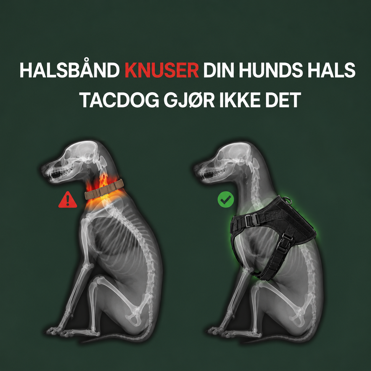 TacDogs Anti-træk ID-sele