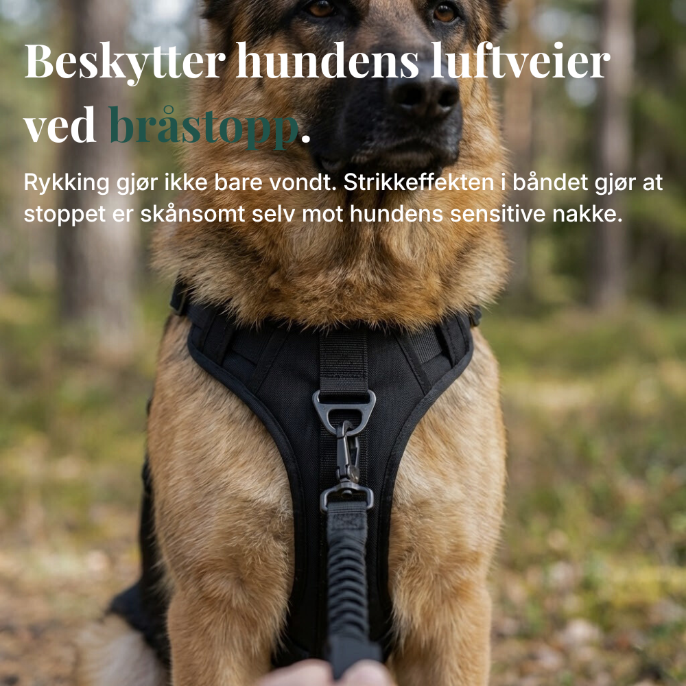 TacDogs Anti-træk ID-sele